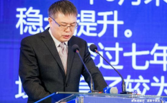网红黎清,网红界的璀璨新星，揭秘她的魅力与成功之路