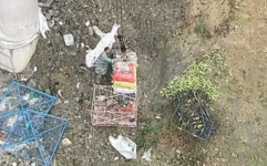 云南塔吊小姐姐,高空中的美丽守护者